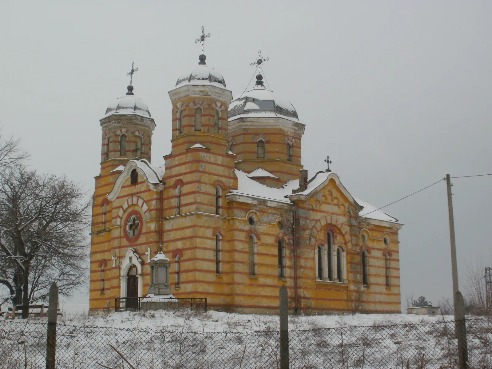 Сланотрън