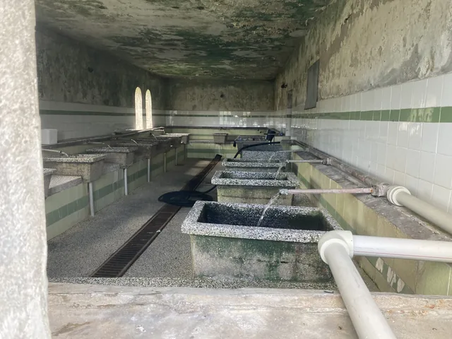 Коритата на общинската пералня с минерална вода.
